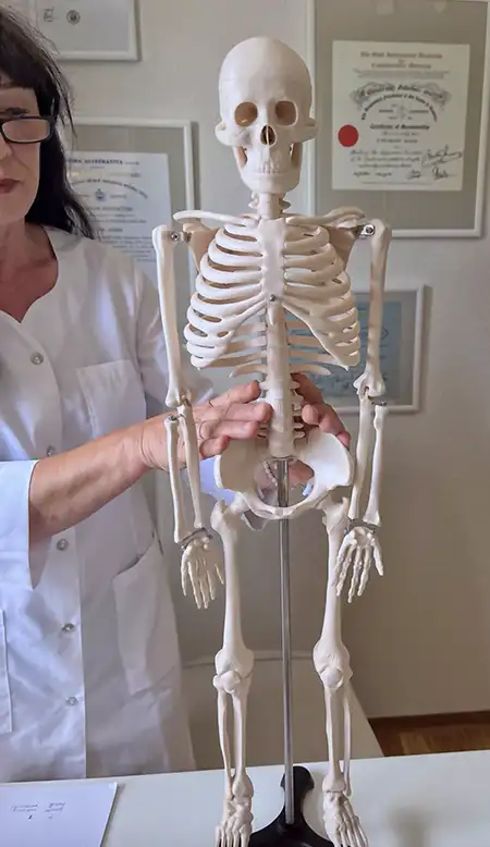 Therapeutin Susanna Pramann erklärt die Anatomie des menschlichen Körpers anhand eines Skelettmodells in ihrer Praxis